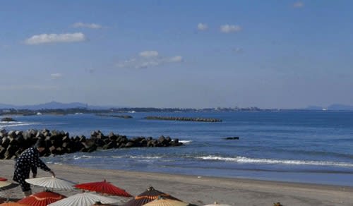 沖合2メートルにサメ、鳥取の海岸