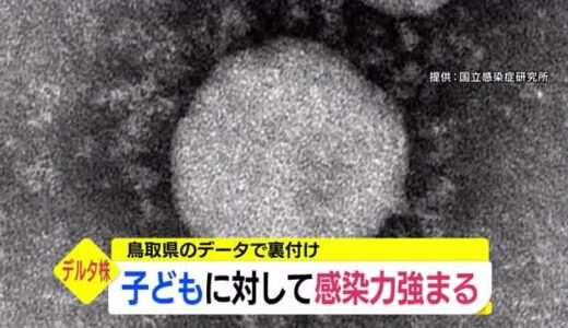 デルタ株は子どもへの感染力が強まっている　鳥取県のまとめたデータで裏付け（鳥取県）