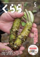 鳥取県から発信 フリーペーパー 『くらら』