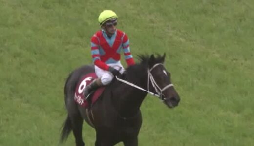 大山から世界最高峰レースに挑戦！名馬祖父と父の名前を受け継ぐディープボンド