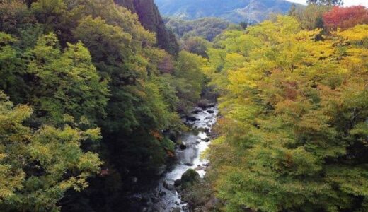 紅葉を見に行こう　県南 見頃は11月上中旬