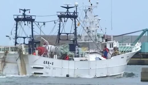 冬の味覚の王者松葉ガニ　鳥取県の各漁港からいざ出漁！