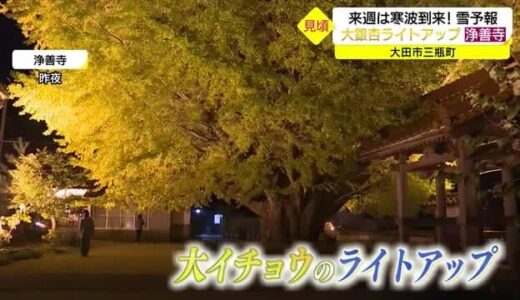 ２４日ごろは山間部で積雪か…本格的な冬を前に紅葉の庭園　大イチョウの寺はクライマックス（島根県）