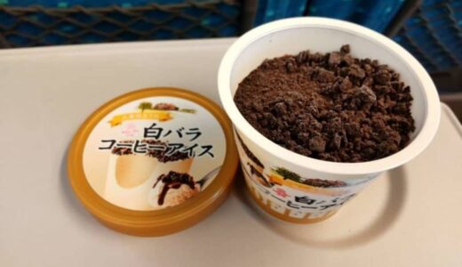 新幹線で買える「植木鉢にしか見えないアイス」が話題　気になるお味は...「素晴らしい」