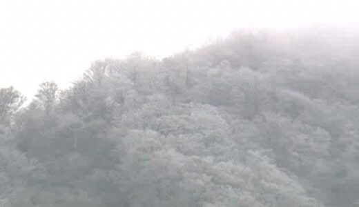 ２４日にかけ寒さピーク　平野でみぞれ山間部では積雪に注意　スケートリンクもにぎわい（島根県・鳥取県）