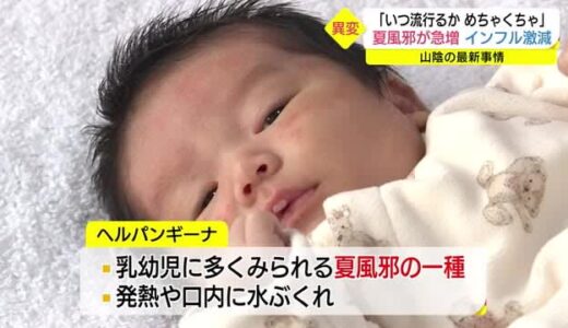 「これまでの常識が通用しない」夏風邪が冬に急増中で鳥取県に警報　感染症対策に注意呼びかけ（米子市）