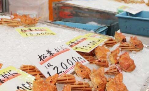 松葉ガニ、超高騰で旅館・飲食店悲鳴　鳥取、単価2倍に