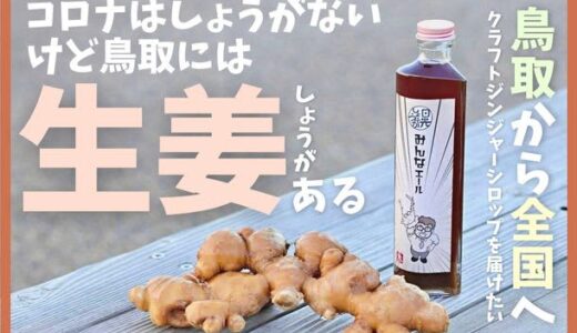 クラフトジンジャーシロップ「みんなエール」CAMPFIREにて1月31日までプロジェクトを実施
