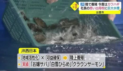 鉄道会社がなぜ？ＪＲ西日本が廃校を活用　カワハギ陸上養殖に参入（島根・出雲市）