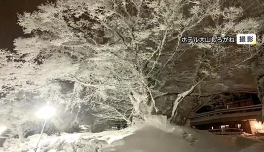 氷点下の冷え込み「雪の華」平地１０センチ超の積雪も天気は回復　来週は新たな寒波に注意（大山・智頭町）
