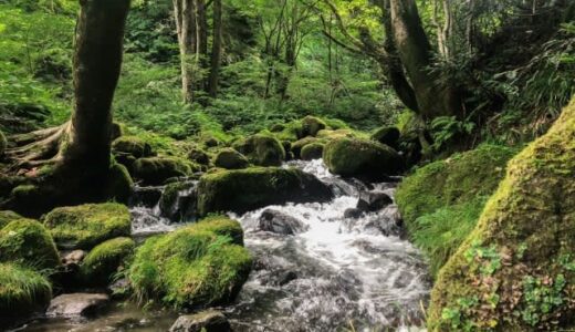 旅好きな私「もう一度行きたい！」国内おすすめスポット3選