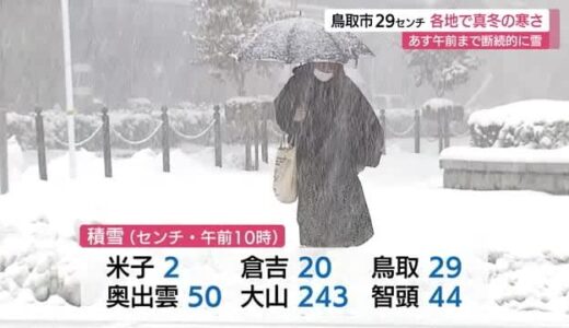寒波続き真冬の寒さ　鳥取市で３０センチ近い積雪を記録（鳥取・島根）　