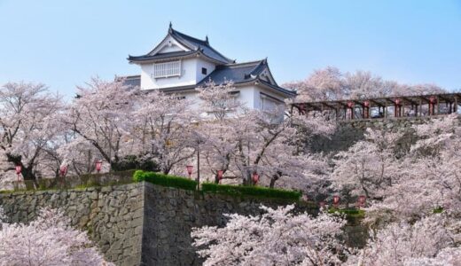 見逃せない！広島、岡山、香川、愛媛など中国・四国地方のお花見スポット13選【2022年版】