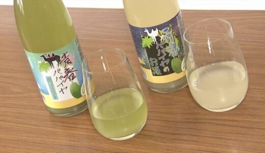 鳥取県の新たな特産品へ　「青パパイヤ」のドリンクとリキュールが登場　