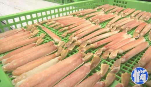 「非常にピンチです」　ウクライナ侵攻の影響はカニにも…鳥取県境港市