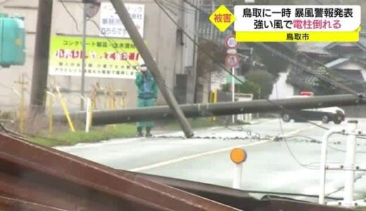 「春の嵐」で電柱が倒れ屋根がとんだ…鳥取市で最大瞬間風速３４．２メートル（鳥取・鳥取市）