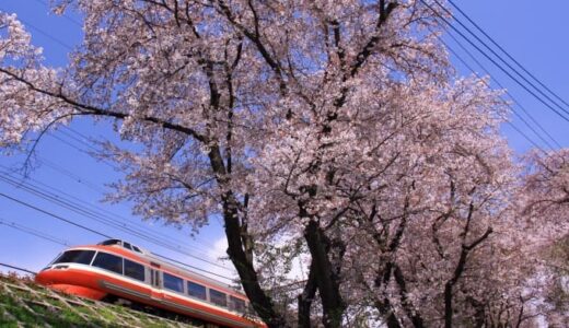 桜満開ラッシュ始まる！鉄道写真の名所スポット厳選集