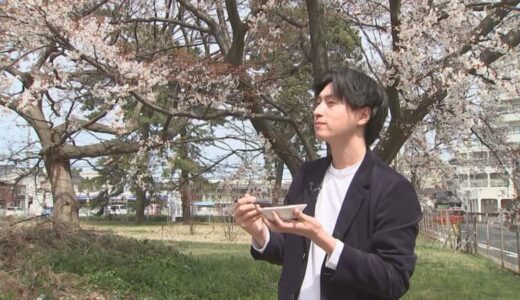 皆生温泉の隠れサクラスポット！温泉卵を添えて…鳥取県米子市
