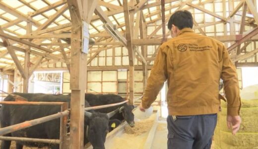 「肉質日本一」の鳥取和牛が危機　飼料高騰、ロシア・ウクライナ情勢の影響も…
