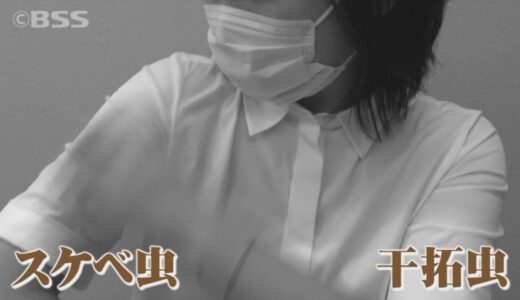 「干拓虫」「スケベ虫」…超厄介者の「ヌカカ」対策に鳥取県米子市が本腰