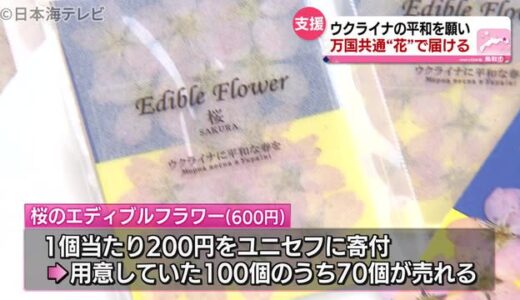 ウクライナに春を　桜の押し花を通して寄付　鳥取県