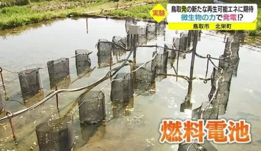 SDGｓ　田んぼの微生物で発電（鳥取県・鳥取市）