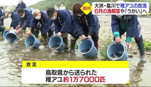 大洲・肱川で稚アユの放流　６月１日の漁解禁やうかい開幕へ　放流初日は１万７０００匹【愛媛】
