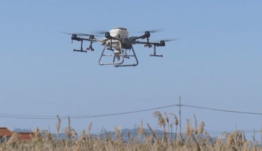 かまれると猛烈なかゆみ…「ヌカカ」の発生を抑える検証実験　ドローンで石灰を散布　　鳥取県米子市