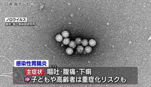 コロナ対策では防げない「感染性胃腸炎」　鳥取県内で患者が急増