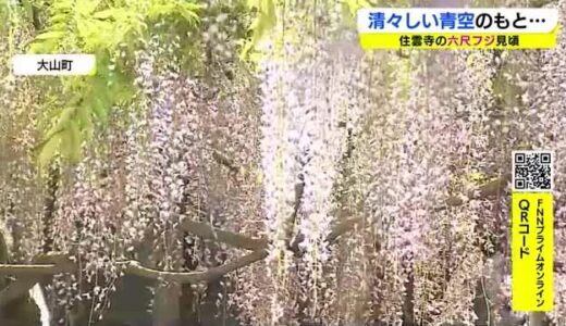 ５日も夏日予想でさらに気温上昇　空気乾燥に注意　週末は気温下降予想され服装で調節を（島根県・鳥取県）