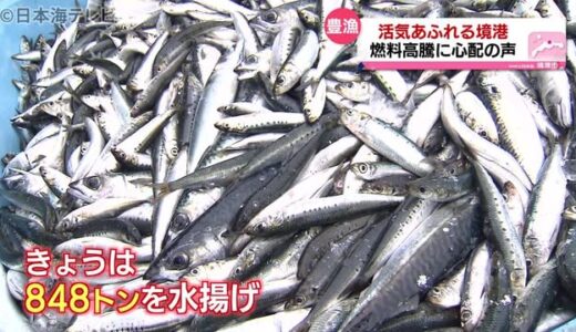 境港『大漁』続くも原油価格高騰に心配の声　鳥取県境港市