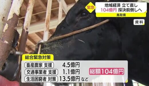 コロナ禍や物価高で苦境の県民支援へ１０４億円　地域経済立て直しへ鳥取県が緊急対策