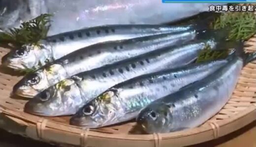 魚介類に寄生「アニサキス」食中毒に注意　背景に”イワシの豊漁“？　家庭でできる対処法