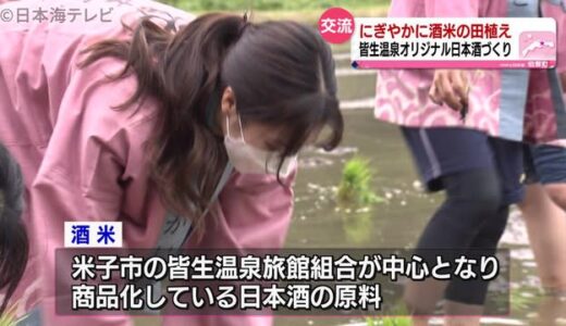 オリジナルの日本酒に使う酒米の田植え　　地元の園児などが汗を流す　鳥取県伯耆町