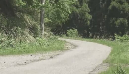 宍粟市 氷ノ山で不明の高齢男性 無事発見