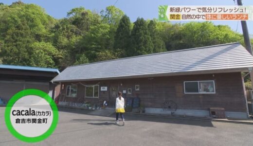 テラス席も！自家製パンのプレートランチ【cacala@倉吉市】