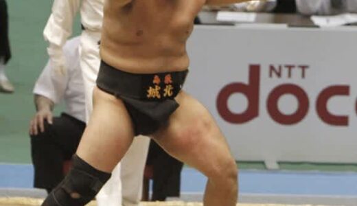 電気コードで日大相撲部同僚の歯を折る…照ノ富士の後輩・鳥取県職員の度を超したかわいがり