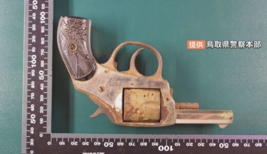 自宅の蔵で「けん銃」のようなもの見つかる　アメリカ製か