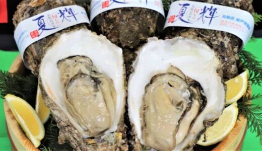 海のミルク・イワガキの季節が到来！　鳥取ブランド「夏輝」を食す