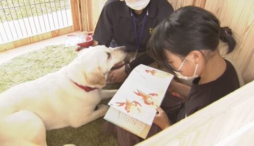 子どもが絵本を読み聞かせる相手は…「イヌ」　狙いは？