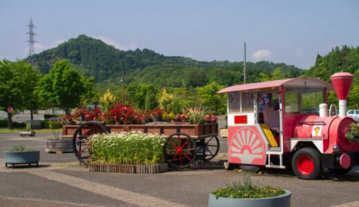 ［とっとり花回廊］鳥取の定番観光スポットで初夏の花を楽しむ2022｜南部町