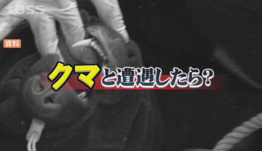 クマと遭遇…正しい対処法は？研修会で学ぶ　鳥取県