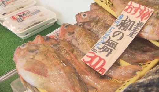 鮮魚店と八百屋プロに訊いた！今が“ねらい時”「お得な節約食材」値上げが止まらない今の節約術【札幌】