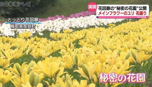 とっとり花回廊の一角に「秘密の花園」登場　鳥取県南部町