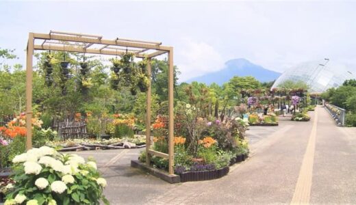 「秘密の花園」を公開中！7000球のユリが見頃【鳥取県南部町】