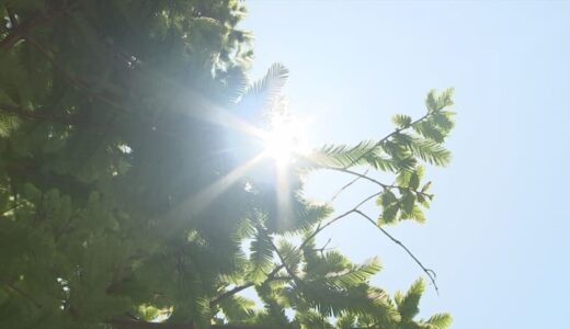 「ほぼ自覚症状がない」　単なる頭痛かと思ったら…子どもの「熱中症」に注意