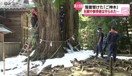 落雷によって焼けたご神木　翌日も消火続く　樹齢１０００年　生育に影響ない消火剤で消火