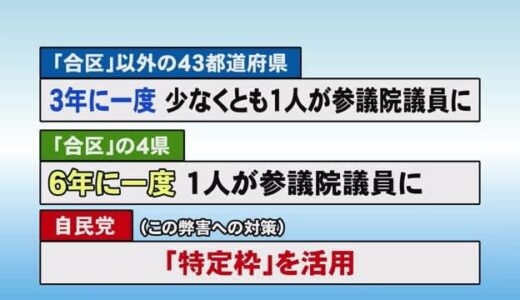 シリーズ参議院選挙　今井氏に聞く　なぜ「合区」が設けられた？