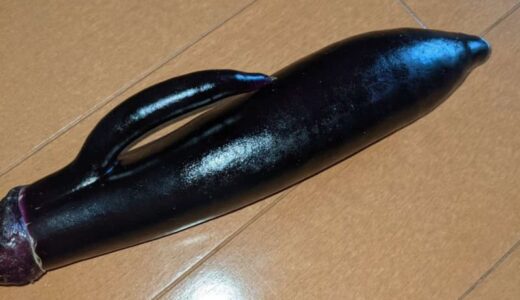 「アレ」にしか見えない...　オトナたちを震えさせた「センシティブすぎるナス」がこちらです