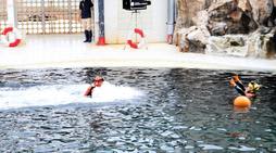イルカが溺れた人を救助！？救難士と息ぴったり　妙技をデモ実演　豊岡・城崎マリンワールド